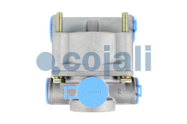 supapa de protectie supraincarcare COJALI 2219104