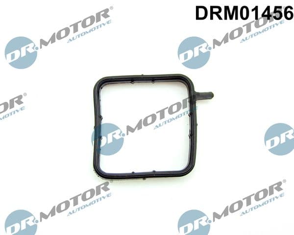 garnitura,teava lichi de racire Dr.Motor Automotive DRM01456
