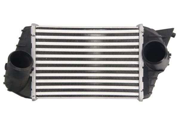 Intercooler, compresor THERMOTEC DAF009TT