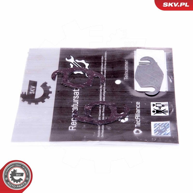 Set de reparație, supapă AGR ESEN SKV 14SKV560