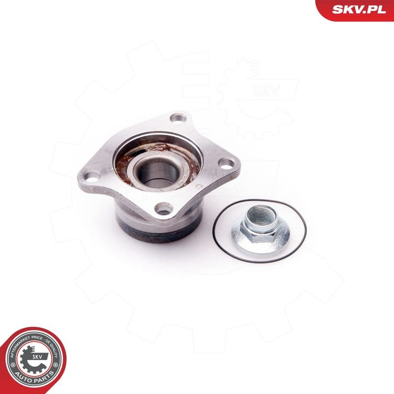 Set rulment roata ESEN SKV 29SKV080