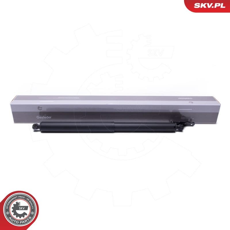 Motor electric, haion ESEN SKV 52SKV962