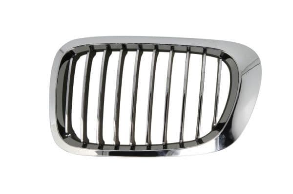 Grila radiator BLIC 6502-07-0061996LP