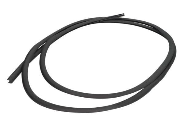 Garnitura, parbriz BLIC 5703-04-6038045Q