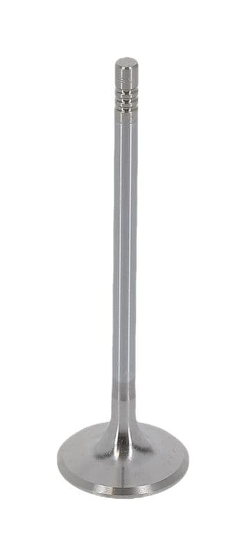 Supapa admisie AE V95040