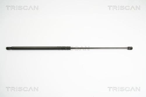 Amortizor portbagaj TRISCAN 8710 18213