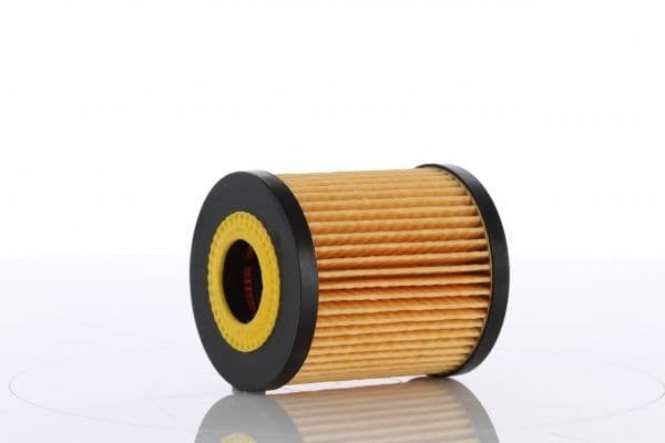 Filtru ulei MTR 12138563
