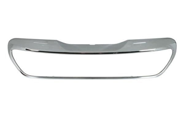 Banda de protectie, grila radiator BLIC 6502-07-5504991P
