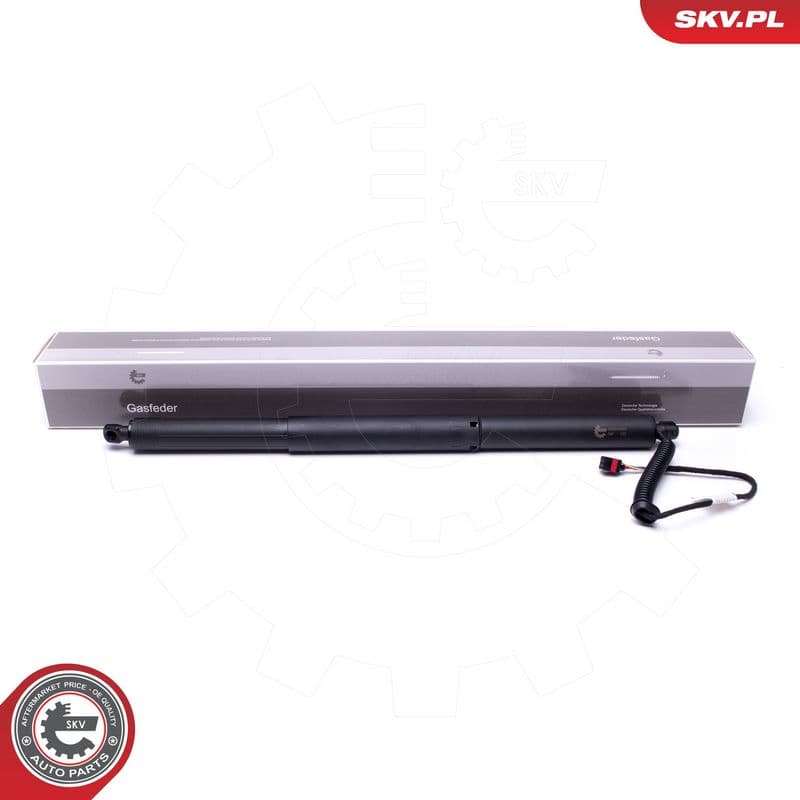 Motor electric, haion ESEN SKV 52SKV903