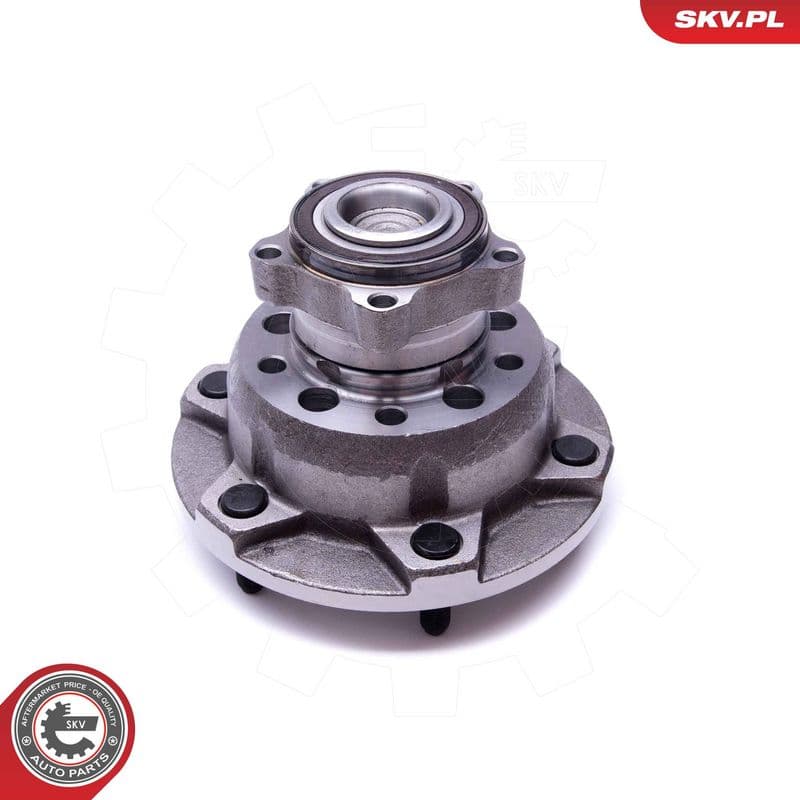 Set rulment roata ESEN SKV 29SKV298