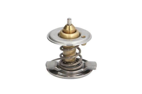 termostat,lichid racire THERMOTEC D2M001TT