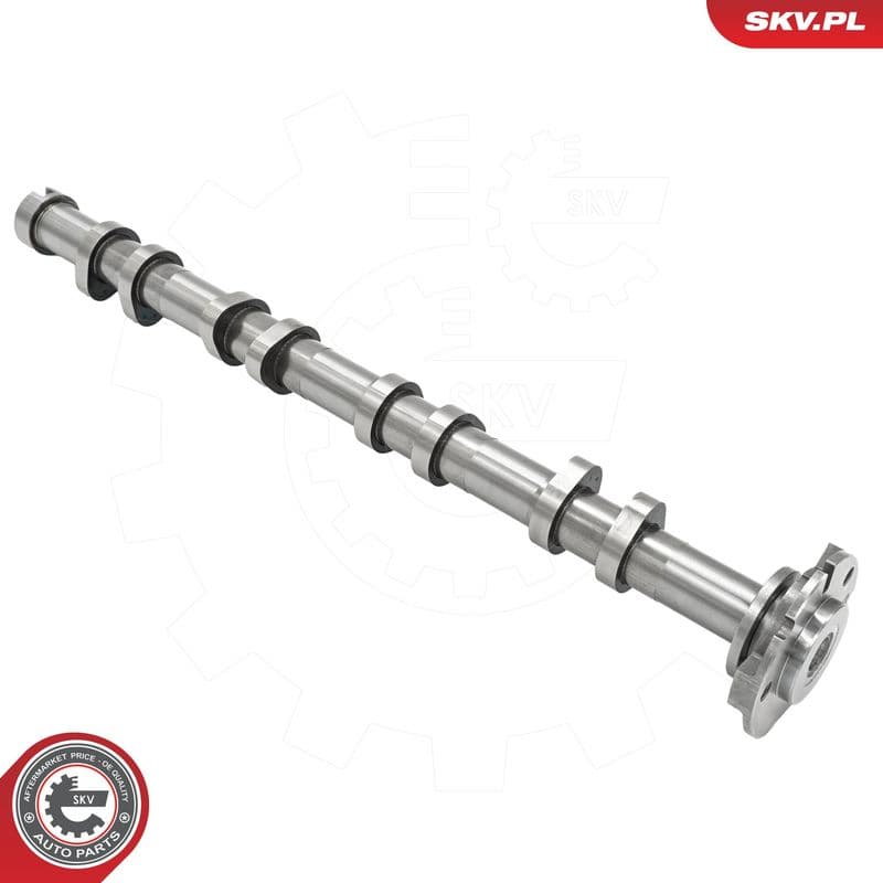Ax cu came ESEN SKV 80SKV062