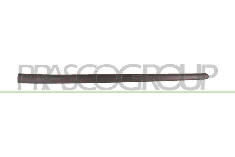 Elemente decorative/protectie, portiera PRASCO VG0361404
