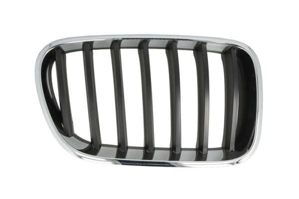 Grila radiator BLIC 6502-07-00939980P