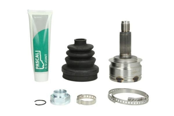 Set articulatie, planetara PASCAL G17026PC