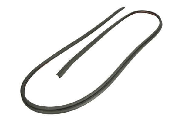 Garnitura, parbriz BLIC 5703-04-6037911Q