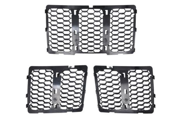 Grila radiator BLIC 6502-07-3206992CP