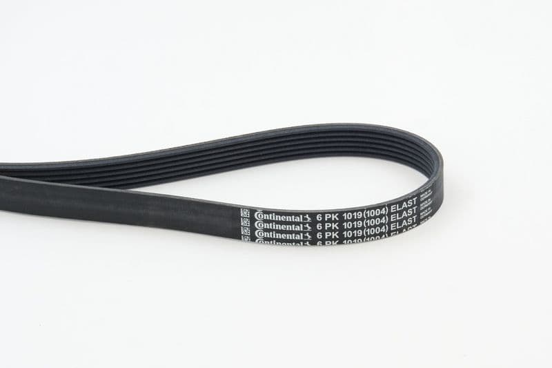 Curea transmisie cu caneluri CONTINENTAL CTAM 6PK1019 ELAST