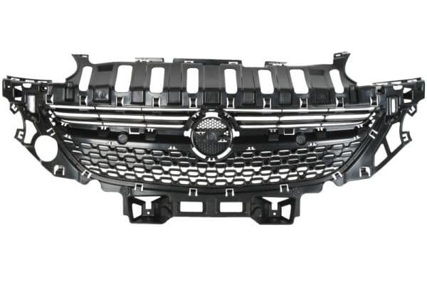 Grila radiator BLIC 6502-07-5001990P