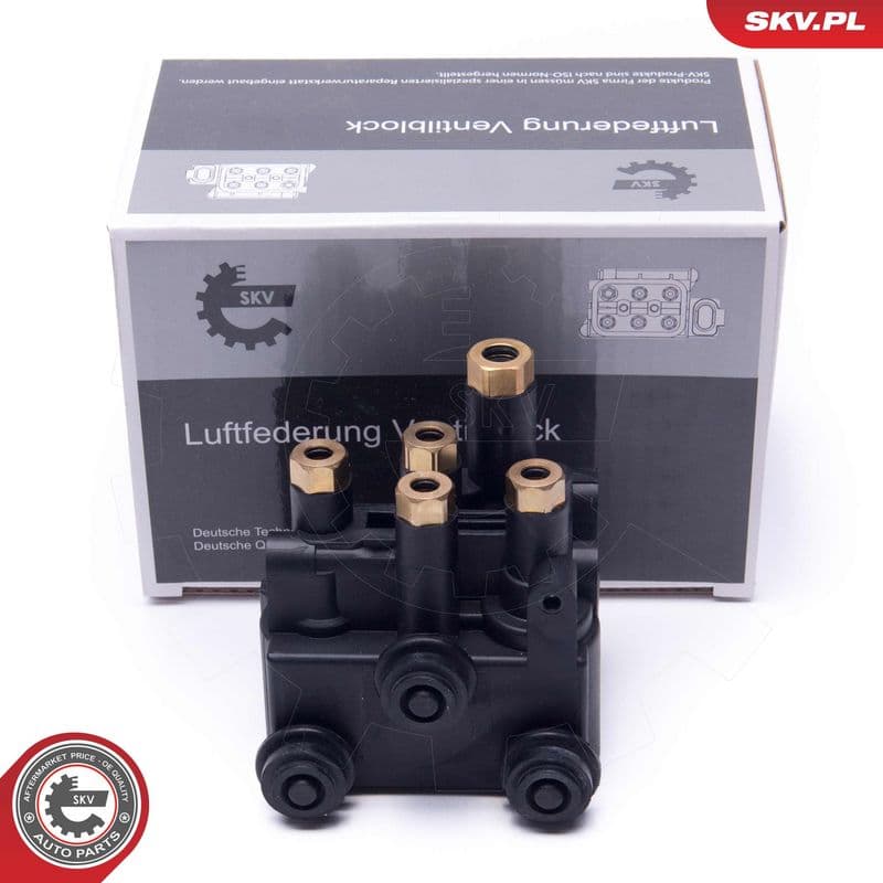 supapa,sistem supraalimentare ESEN SKV 93SKV815