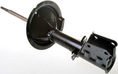 amortizor DENCKERMANN DSB109G