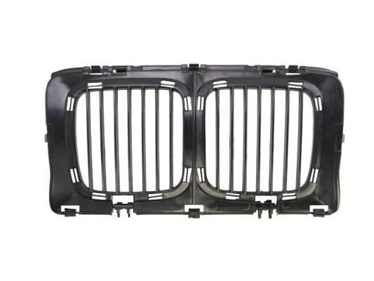 Grila radiator BLIC 6502-07-0057990P