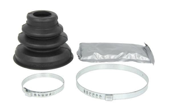 Ansamblu burduf, articulatie planetara PASCAL G6F002PC