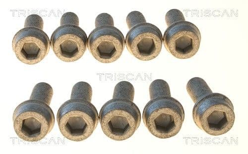 Bolturi fixare, brat suspensie TRISCAN 8501 0508