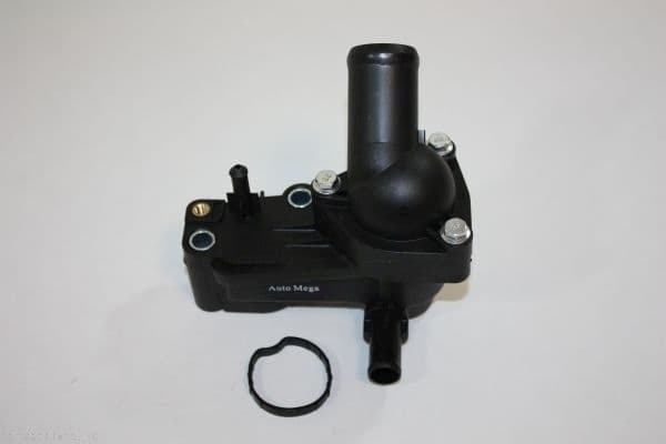 termostat,lichid racire AUTOMEGA 160023810