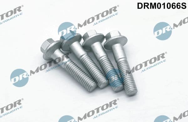 Surub, suport injector Dr.Motor Automotive DRM01066S