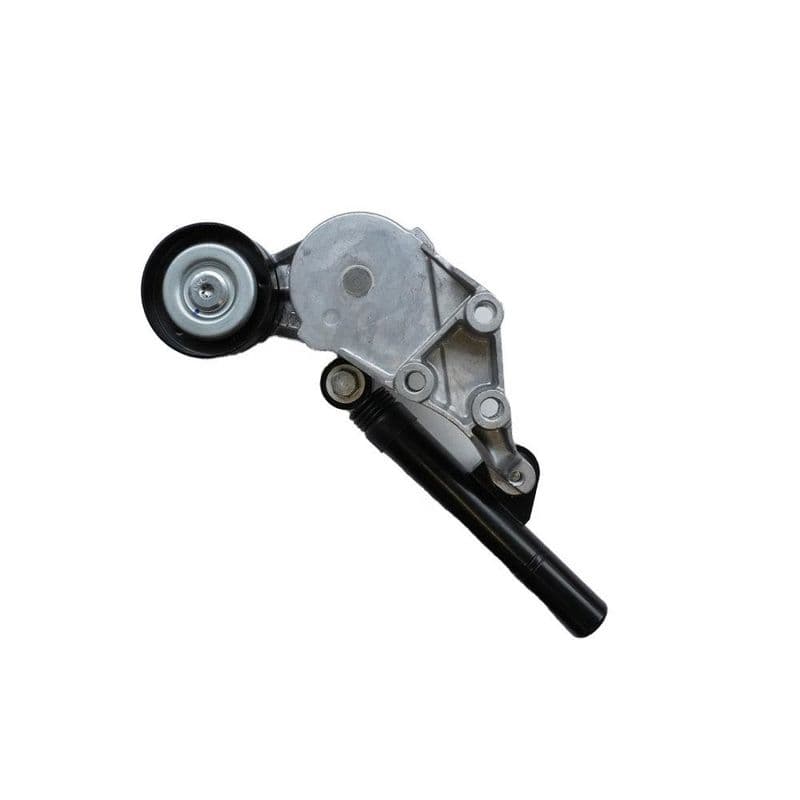 intinzator,curea transmisie ASAM AUTOMOTIVE 101289