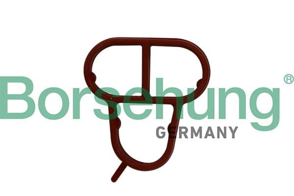 Garnituri, carcasa filtru ulei BORSEHUNG B10623