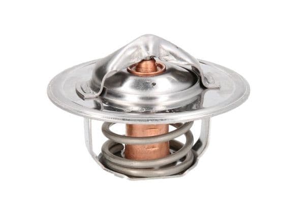termostat,lichid racire THERMOTEC D2FO001TT