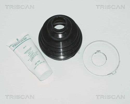Ansamblu burduf, articulatie planetara TRISCAN 8540 10811