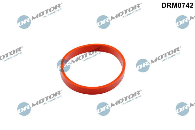 Garnitura, galerie admisie Dr.Motor Automotive DRM0742