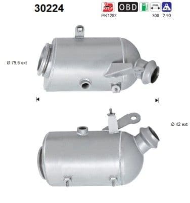 Catalizator AS-PL 30224