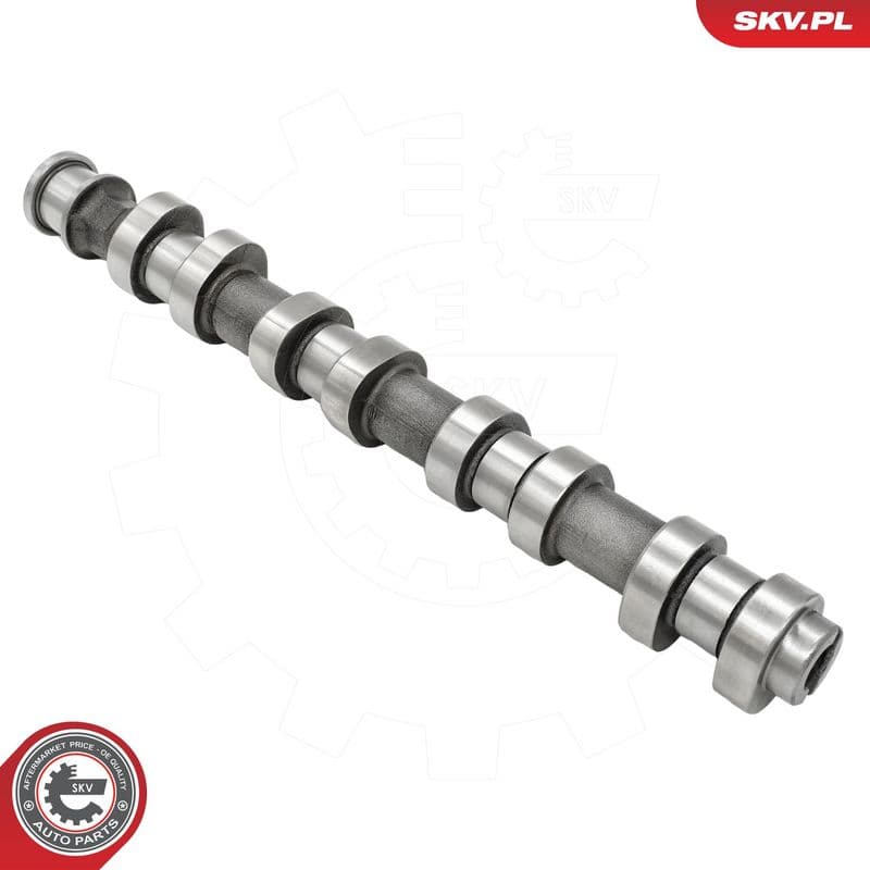 Ax cu came ESEN SKV 80SKV014