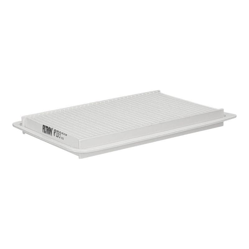 Filtru aer FILTRON AP 113/3
