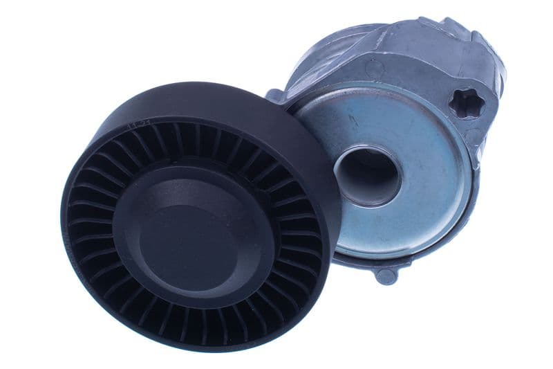Intinzator curea, curea distributie DENCKERMANN P430001
