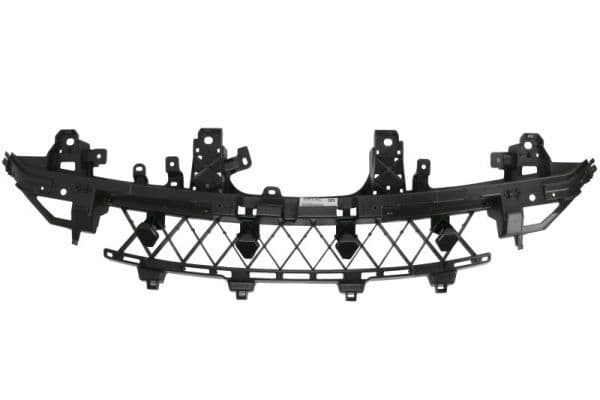 Grila radiator BLIC 6502-07-8126996P