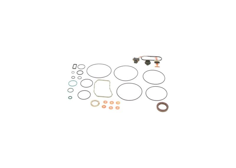 Set garnituri, pompa injectie BOSCH F 00N 300 365