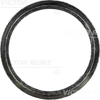 Garnitura, galerie evacuare REINZ 71-23972-20