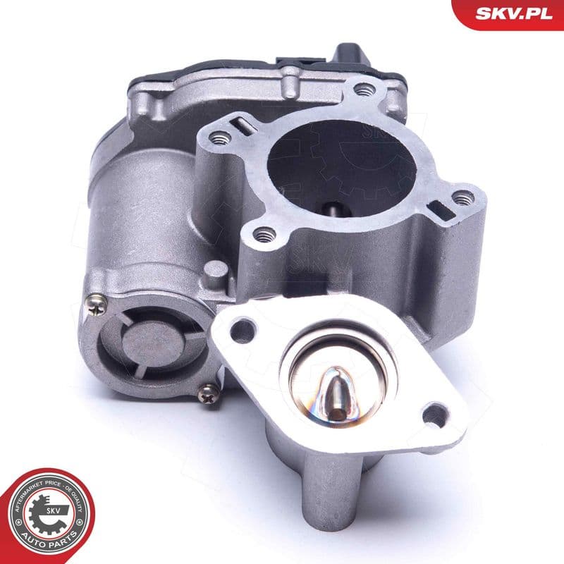 Supapa EGR ESEN SKV 14SKV184