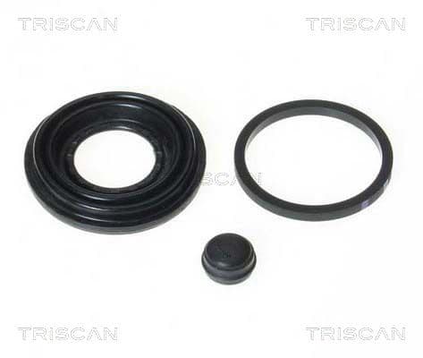 garnitura,piston etrier TRISCAN 8170 189909