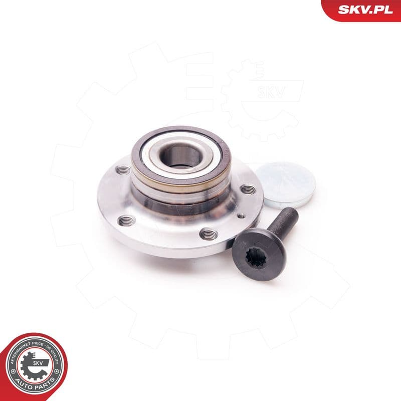 Set rulment roata ESEN SKV 29SKV006