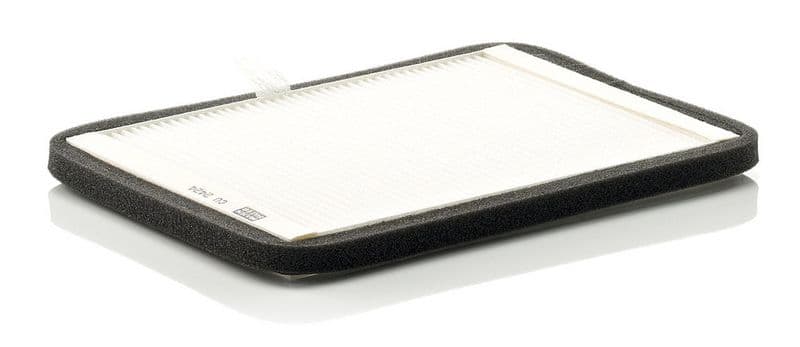 Filtru, aer habitaclu MANN-FILTER CU 2424