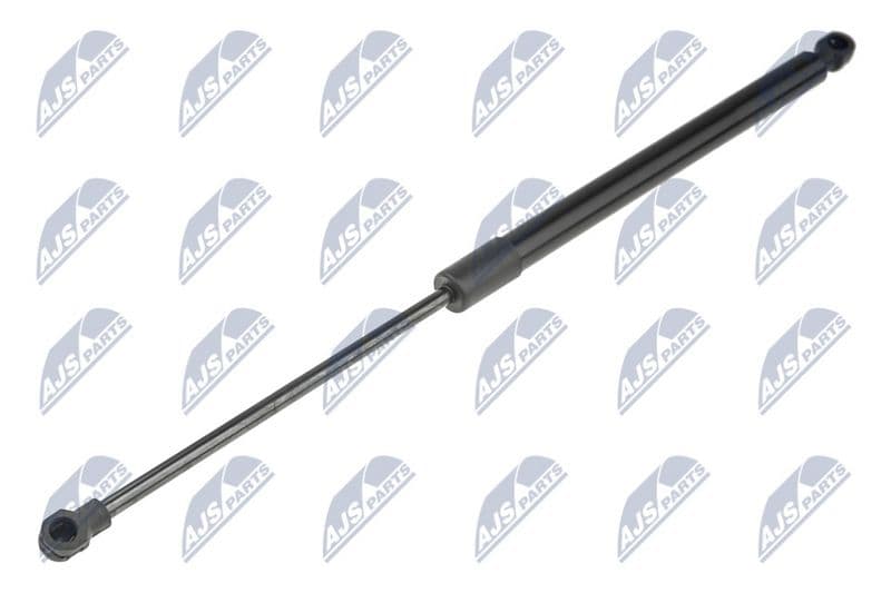 Amortizor capota NTY AE-FR-051