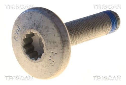 Bolturi fixare, brat suspensie TRISCAN 8501 0536
