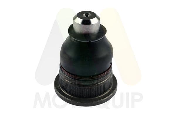Pivot MOTAQUIP LVSJ1283