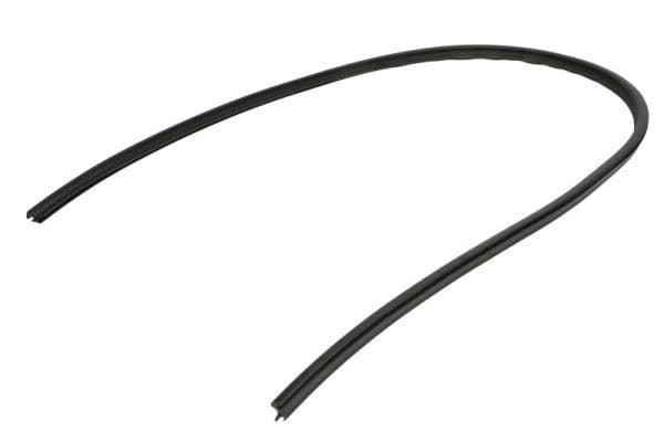 Elemente decorative/protectie, parbriz BLIC 5703-04-6037958Q